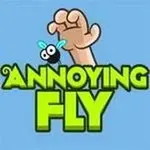 Annoying Fly